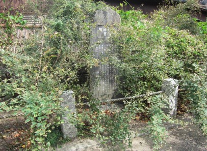 e0245404_14564632.jpg