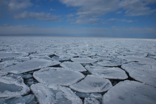 d0051707_23252373.jpg