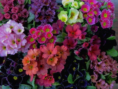 c0178009_18555761.jpg