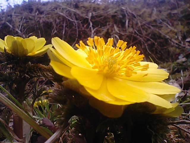 f0231709_1133788.jpg