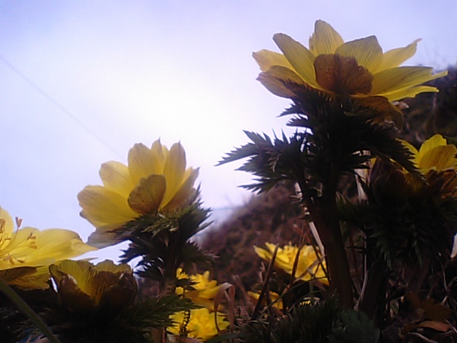 f0231709_11352651.jpg