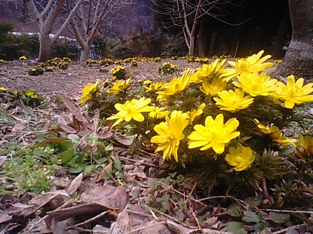 f0231709_11491737.jpg