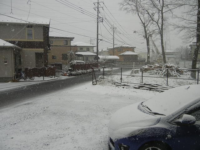 e0086315_1247108.jpg