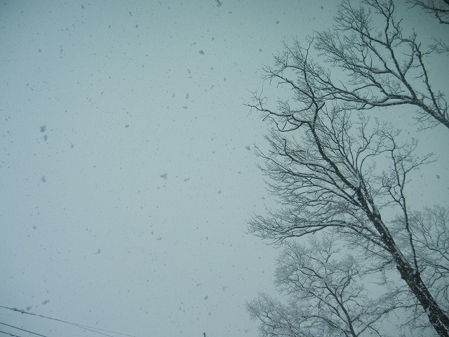 e0086315_12475567.jpg