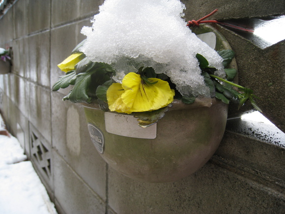 c0197220_8231894.jpg