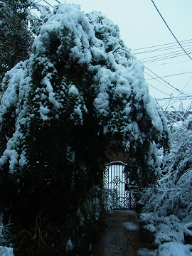 c0086221_8311723.jpg