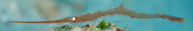 f0041021_91175.jpg