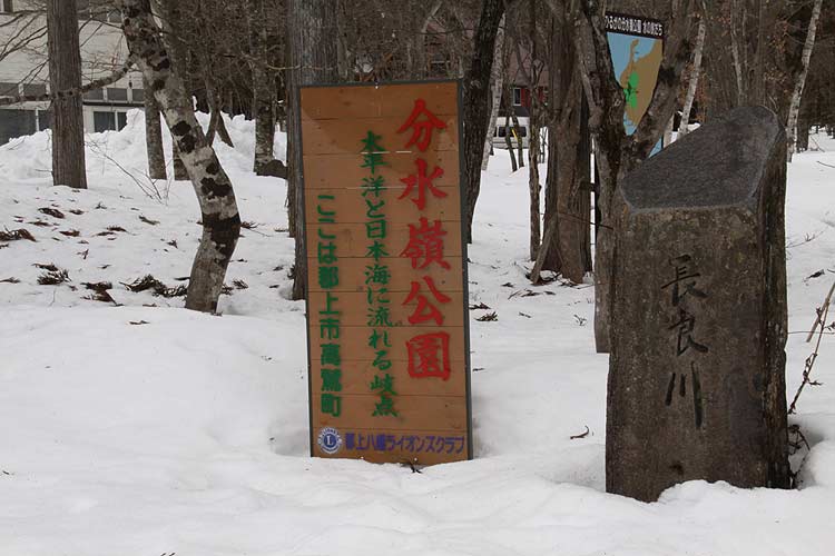 a0151129_11104487.jpg