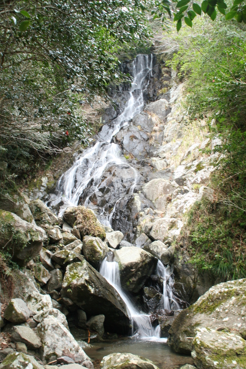 e0033229_21321395.jpg