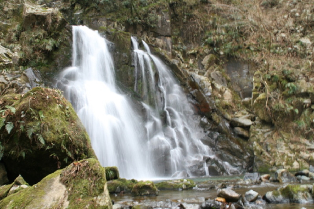 e0033229_217495.jpg
