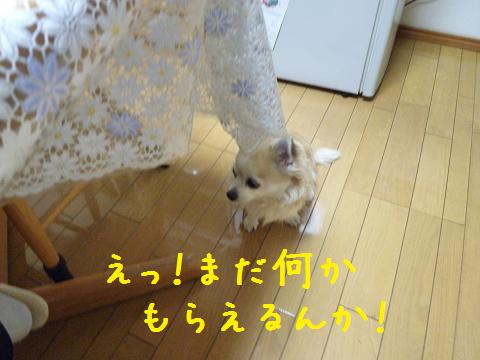 b0138430_10154652.jpg
