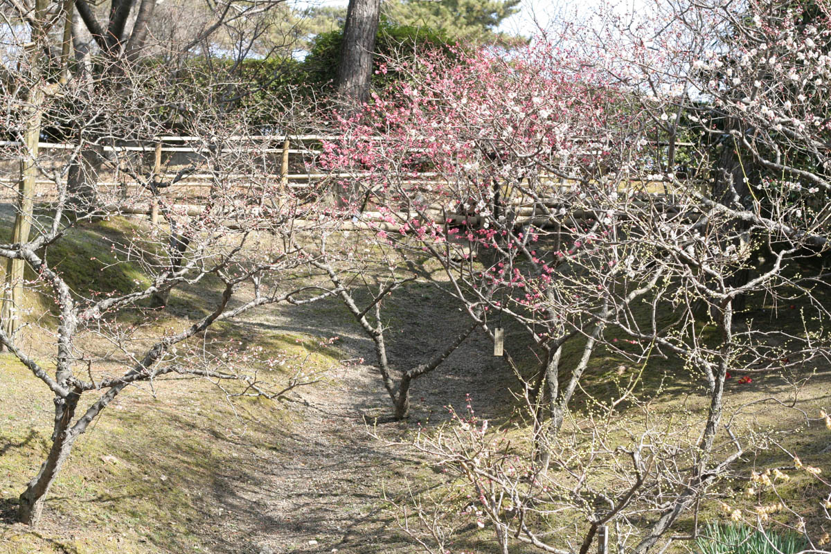 c0073633_19502245.jpg