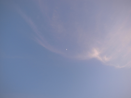 a0014840_2253828.jpg