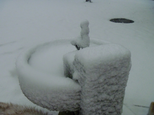 e0121548_10155189.jpg