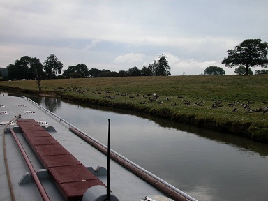 c0027849_12101093.jpg