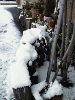 e0150849_11242931.jpg