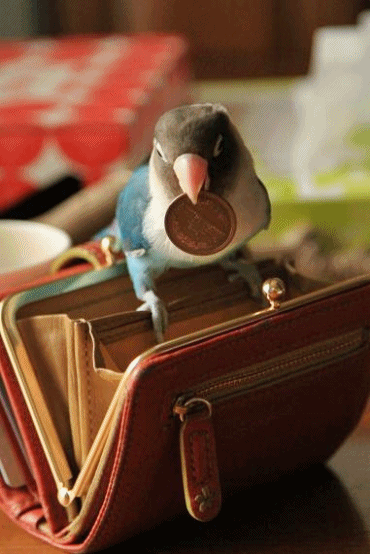 c0145250_1714036.gif