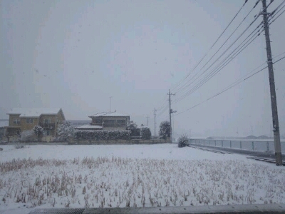 c0245751_2381574.jpg