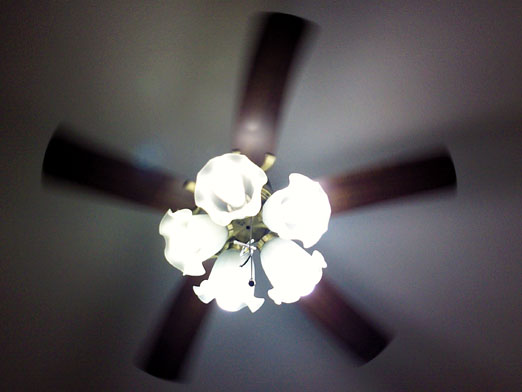c0039153_152785.jpg