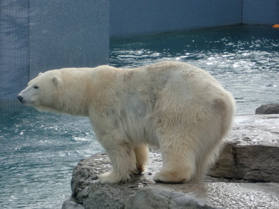 c0180853_5403511.jpg
