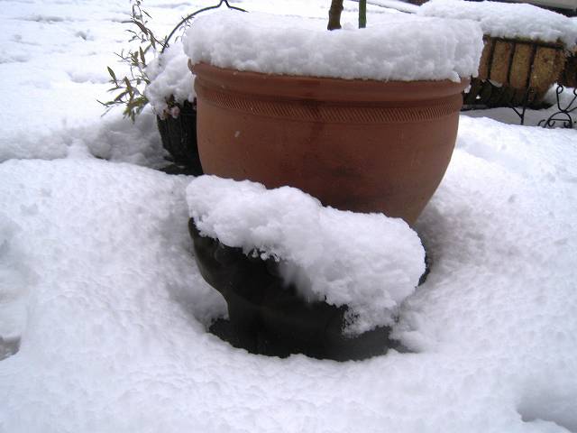 f0176354_144942100.jpg