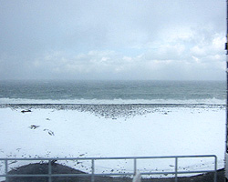 d0050155_10593352.jpg