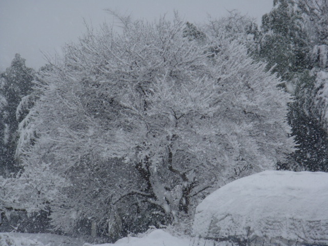 c0074157_2205099.jpg