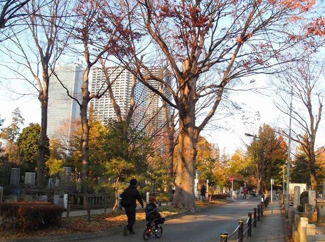 c0119160_8134448.jpg