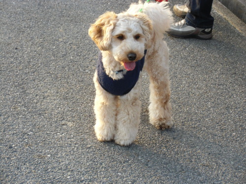 e0213360_227514.jpg