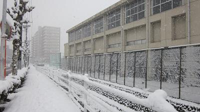 a0120264_10442571.jpg