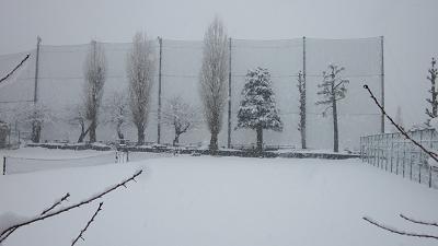 a0120264_10444866.jpg