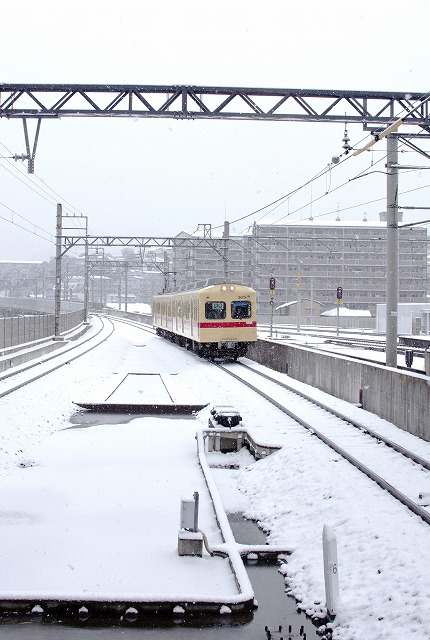 b0131167_1103145.jpg