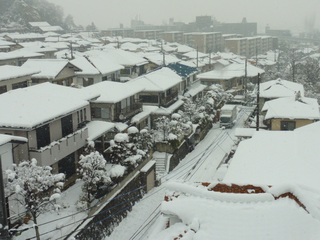 b0085874_1552277.jpg