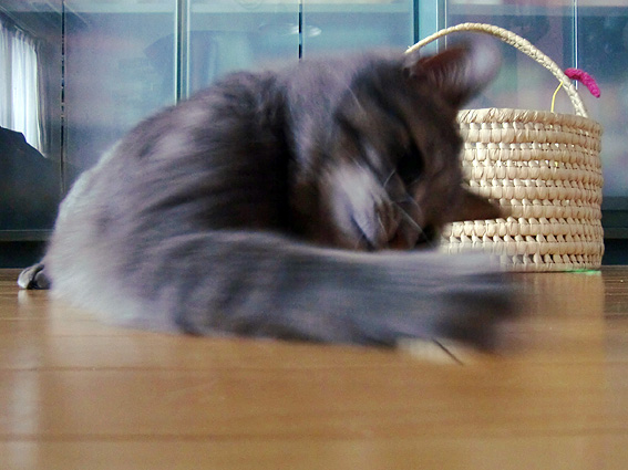 c0226874_13253618.jpg