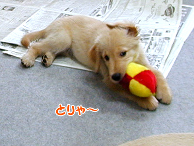 c0235678_1156996.jpg