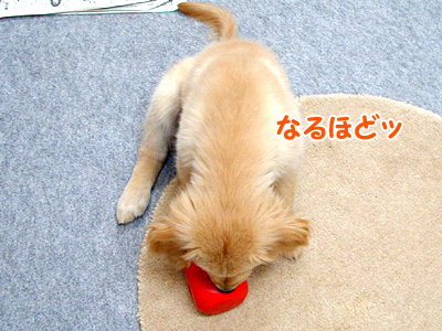 c0235678_13462785.jpg