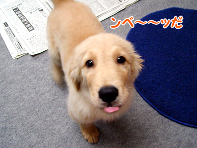 c0235678_13514642.jpg