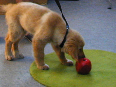 c0235678_14145011.jpg