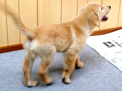c0235678_14525072.jpg