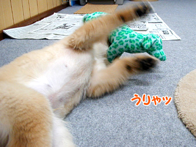 c0235678_1882560.jpg