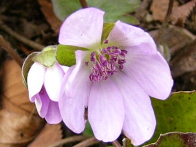 e0145782_20275640.jpg