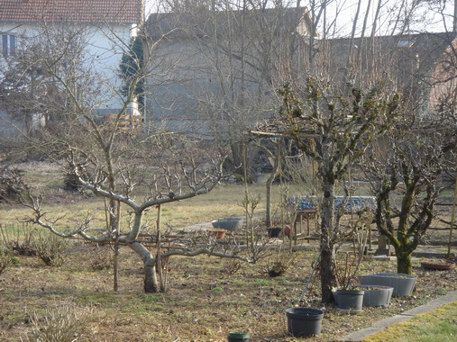 a0247585_6533319.jpg