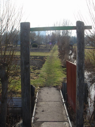 a0247585_654131.jpg