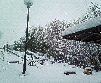 c0014187_1417304.jpg