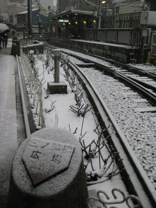f0164989_23134251.jpg