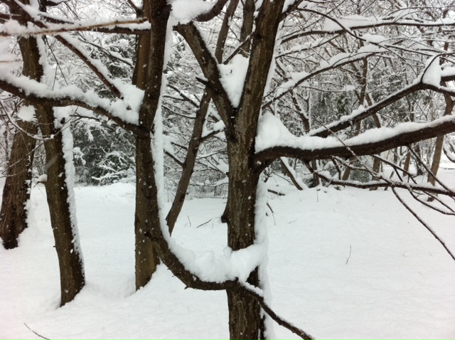 b0144590_13122599.jpg