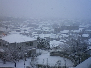 f0018790_22132564.jpg