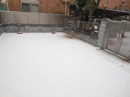 c0028792_20215170.jpg
