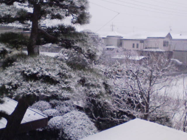 c0066693_1935444.jpg