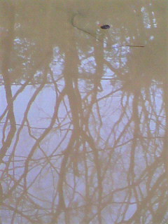 f0082794_2565164.jpg